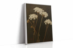 Queen Annes Lace in Late Autumn Light