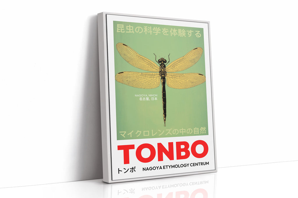 Tonbo – The Science of Dragonflies