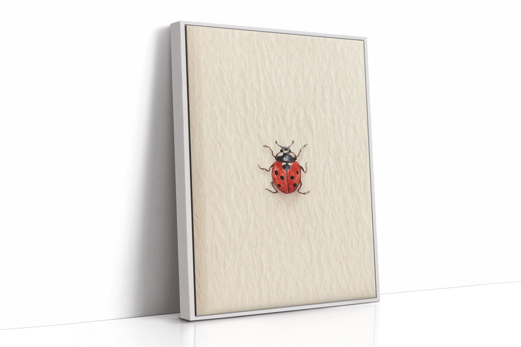 Tiny Ladybug on Paper