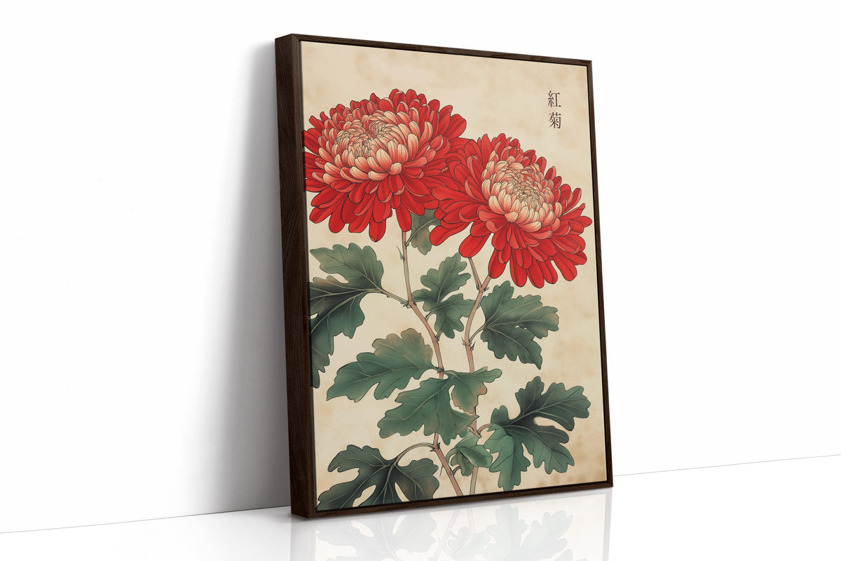 Red Chrysanthemum Elegance