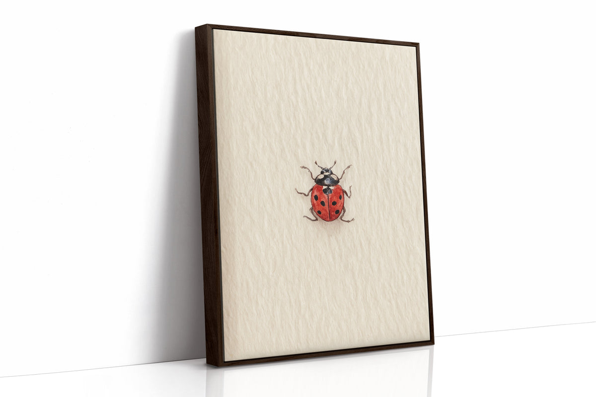 Tiny Ladybug on Paper
