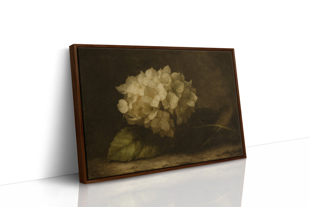 Faded Elegance Hydrangea