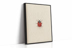 Tiny Ladybug on Paper
