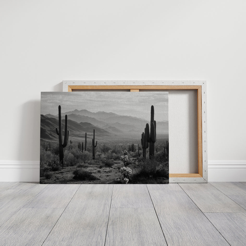 Guardians of the Desert