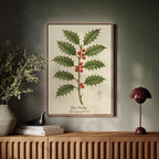 The Holly Botanical Art Print