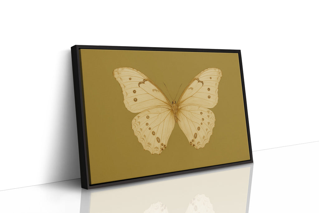 Golden Ivory Butterfly Study