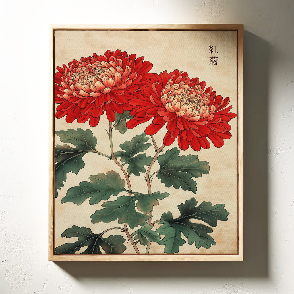 Red Chrysanthemum Elegance
