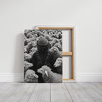 Astronaut Among the Sheep
