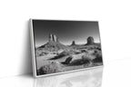 Monuments to Forever