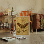 Vintage Moths and Meadow Wings