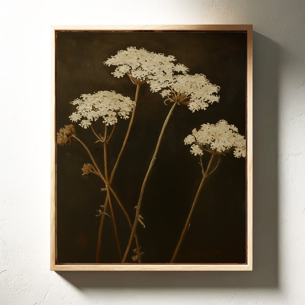 Queen Annes Lace in Late Autumn Light