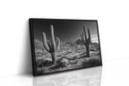 Sentinels of the Sonoran