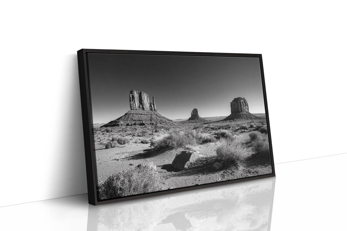 Monuments to Forever