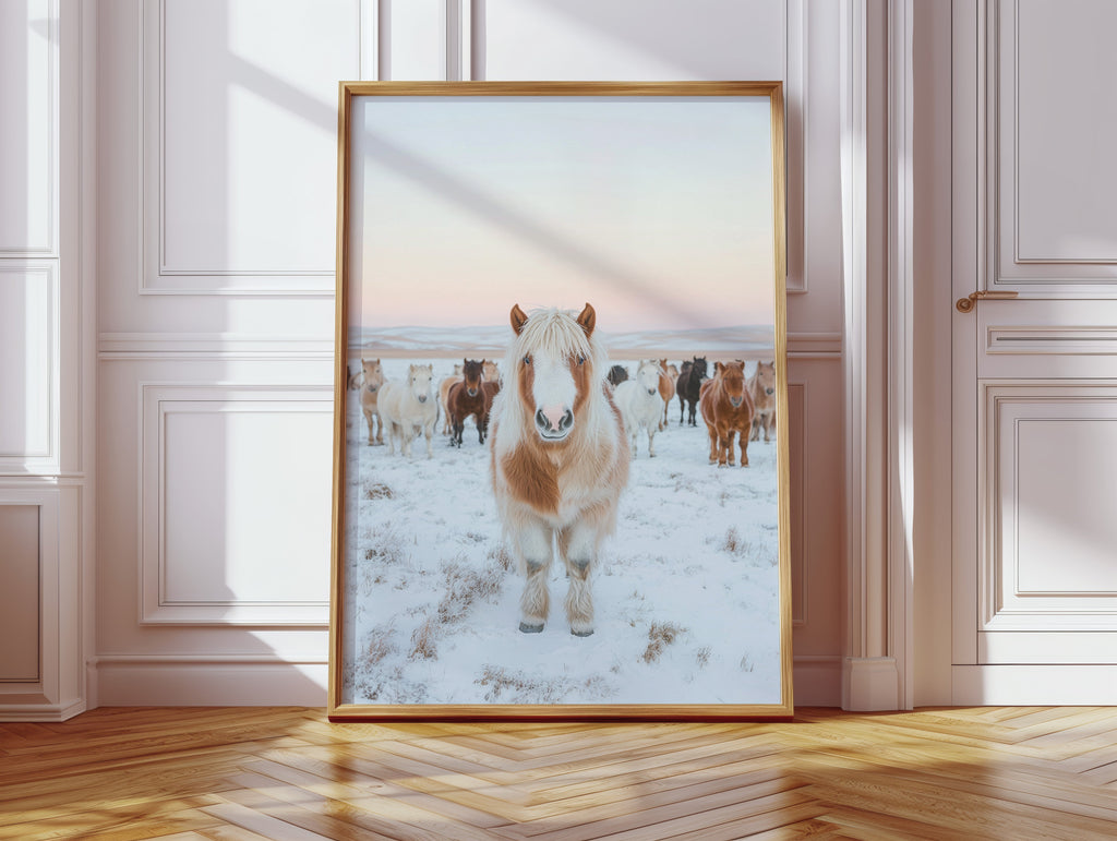 Fluffy Pony in Winter Herd