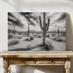 Saguaro Silence in Black and White