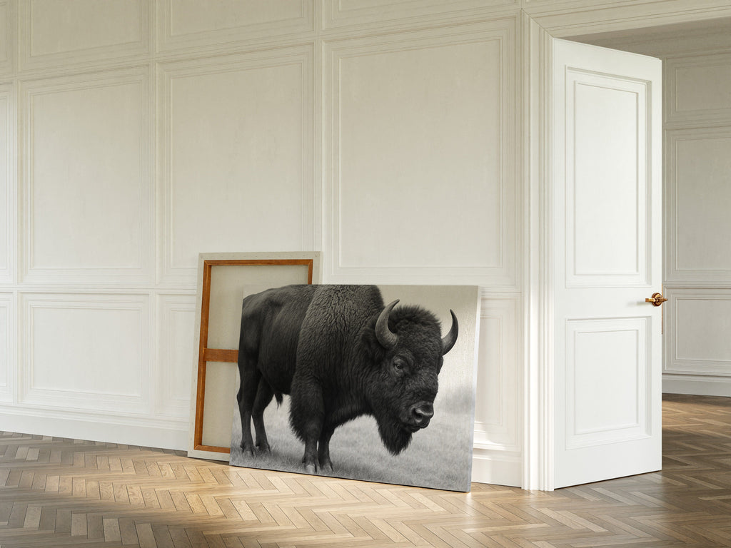 American Bison
