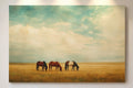 Golden Plains