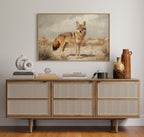 Lone Coyote in the Sun
