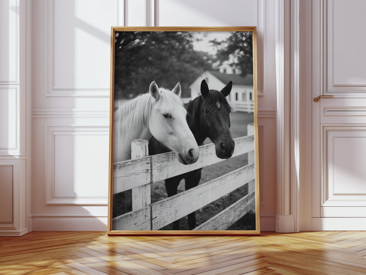 Pasture Gate Conversations