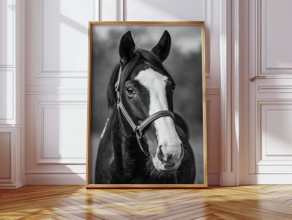 Gentle Spirit