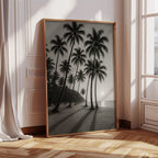 Palm Shadows at Sunrise