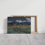 Stormlight Over the Field