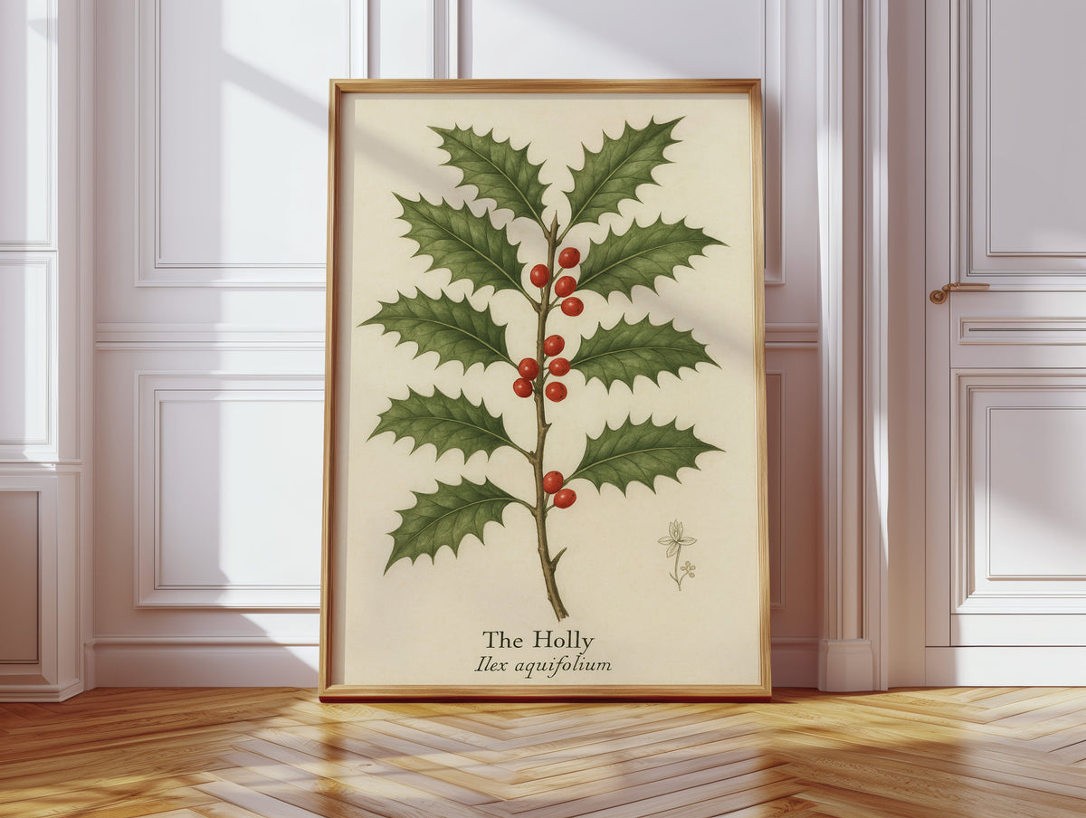 The Holly Botanical Art Print