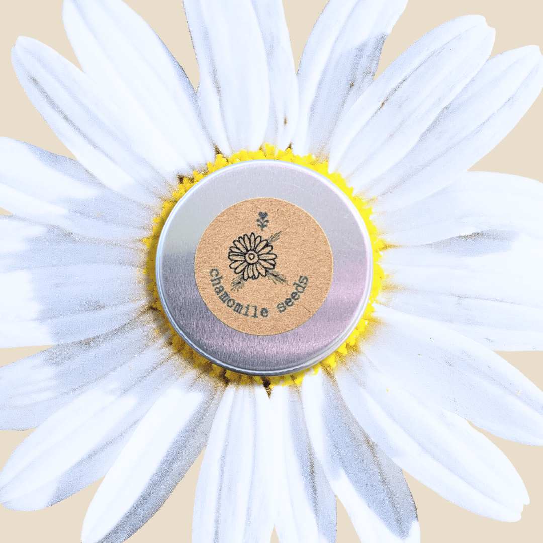 Chamomile Seeds