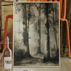 Enchanted Grove