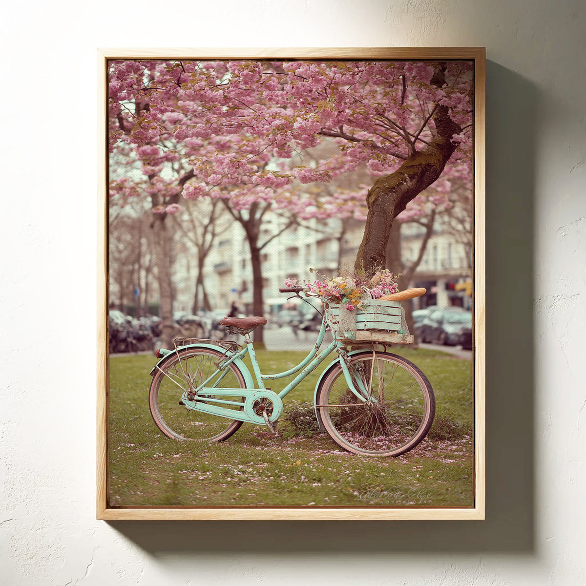 Bicycle Beneath Blossoming Canopy