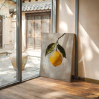 Serenade of Citrus