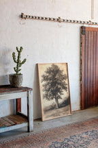 Timeless Oaks
