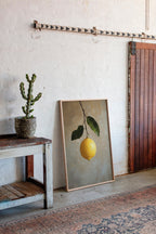 Lemon's Solitude