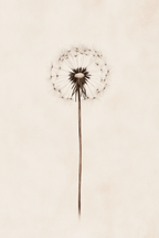 Sepia Dandelion Dreamscape