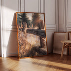 Golden Light on Weathered Wood