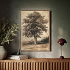 Timeless Oaks