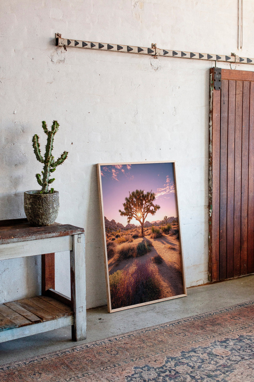The Sun's Embrace on Desert Sage