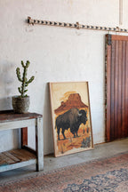 American Western Bison