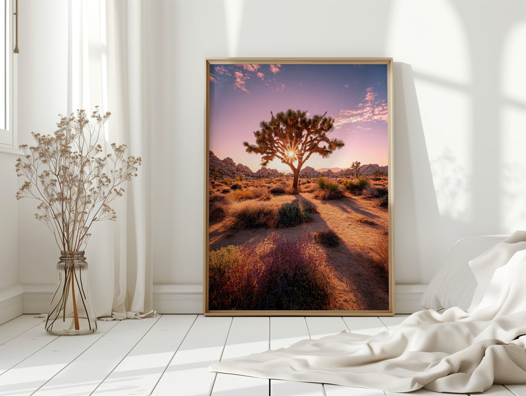 The Sun's Embrace on Desert Sage