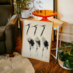 Cranes Tranquil Elegance