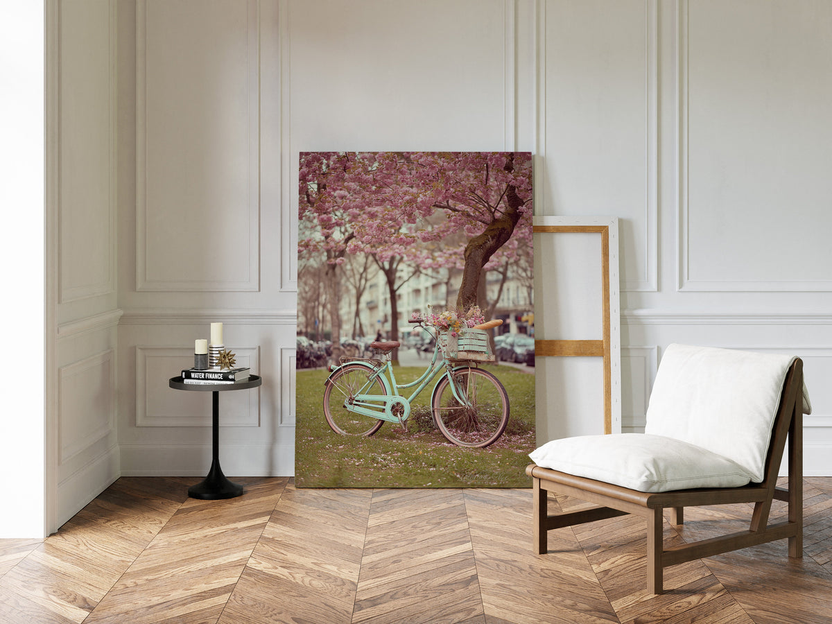 Bicycle Beneath Blossoming Canopy