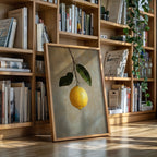 Lemon's Solitude