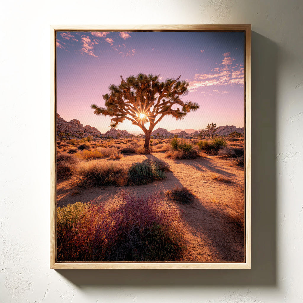 The Sun's Embrace on Desert Sage