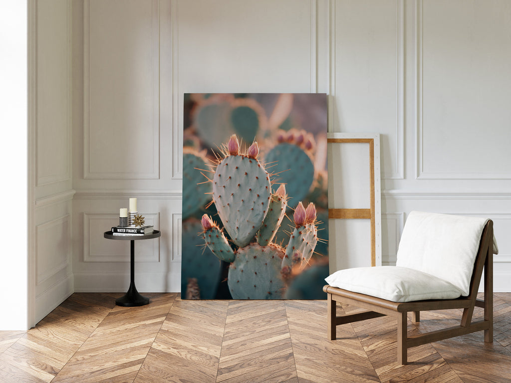 Cacti Embrace the Golden Dawn