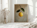 Lemon's Solitude