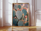 Cacti Embrace the Golden Dawn