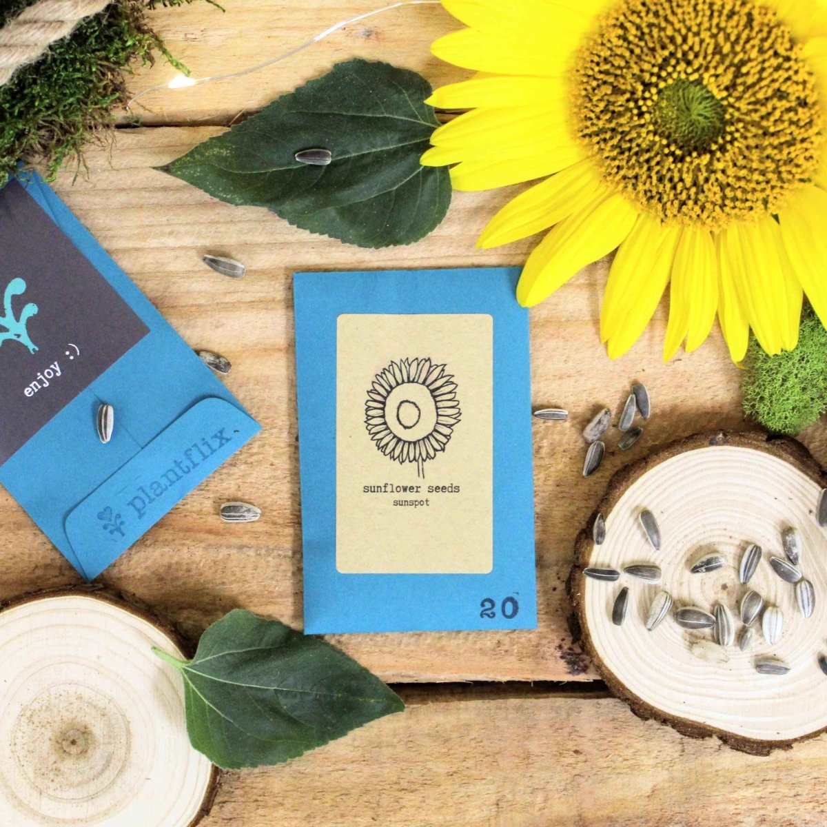 "Indoor Blooms" Seed Collection