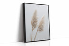 Dancing Grasses In Soft Light