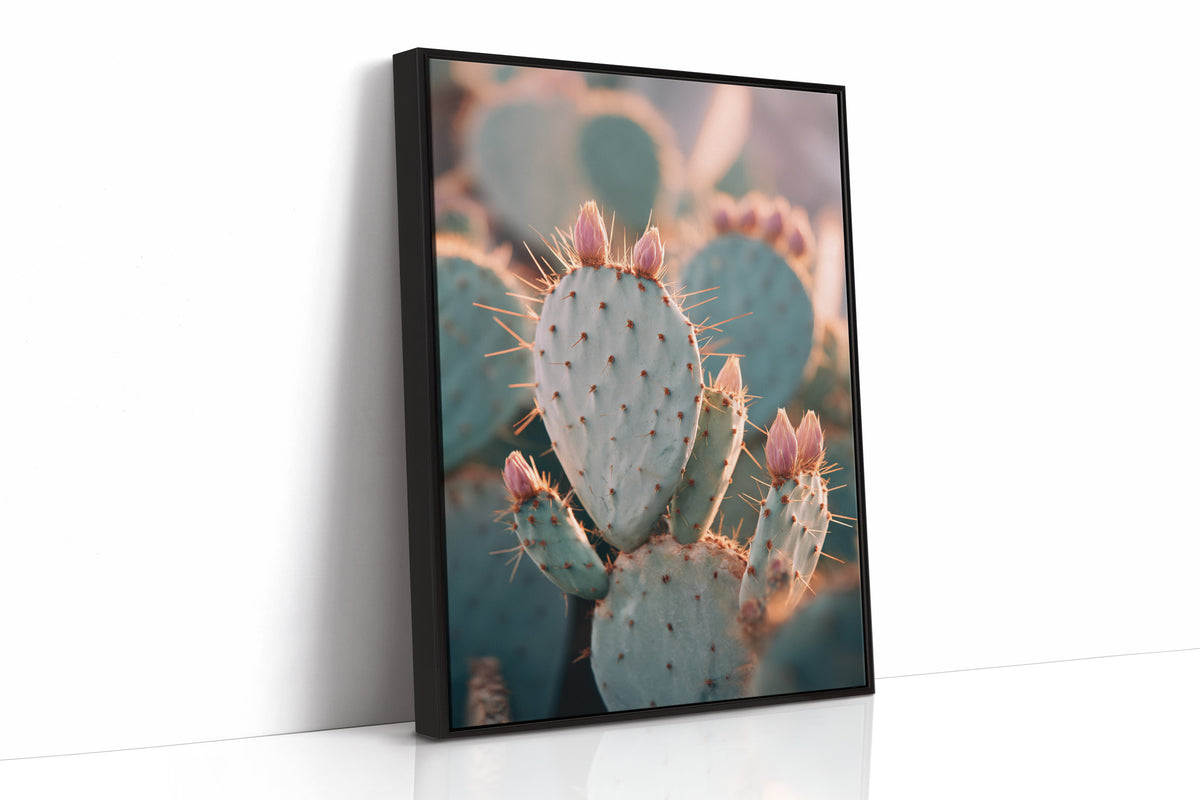Cacti Embrace the Golden Dawn