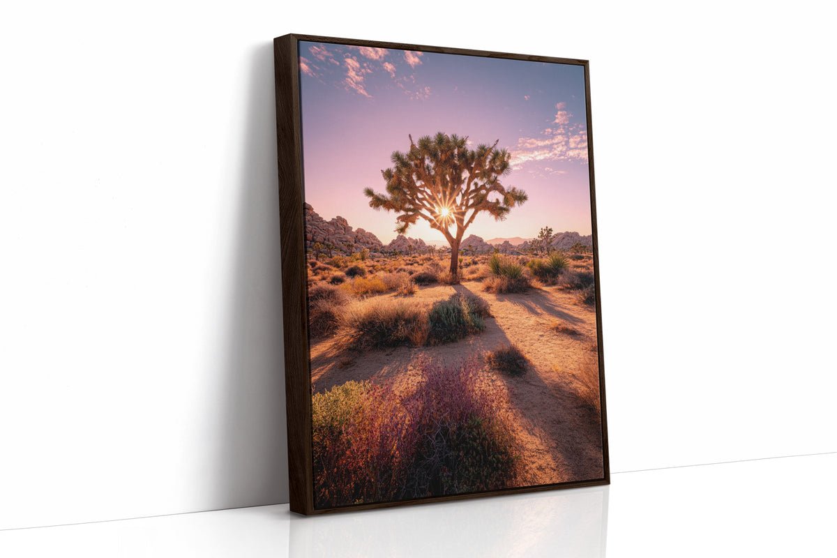 The Sun's Embrace on Desert Sage